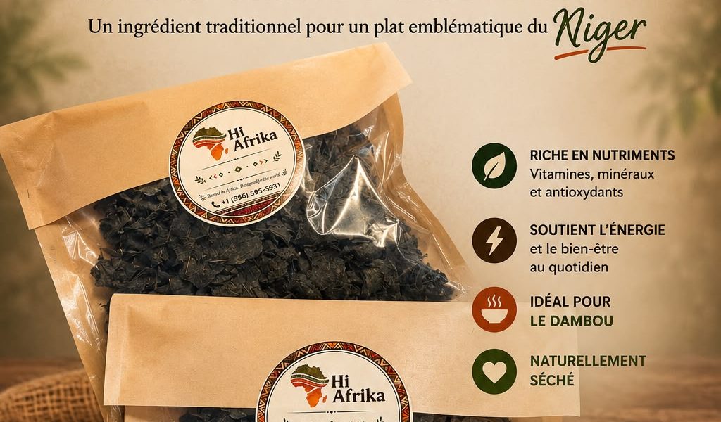 MORINGA POUR DAMBOU